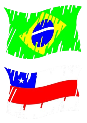 Bandeira do Brasil e Manaus